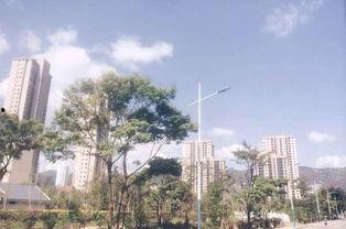 私家花园爆料视频,独家爆料带你领略隐秘奢华生活 第1张 私家花园爆料视频,独家爆料带你领略隐秘奢华生活 第1张