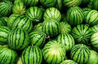 吃瓜资源群免费,免费畅享娱乐盛宴的秘密通道  第2张