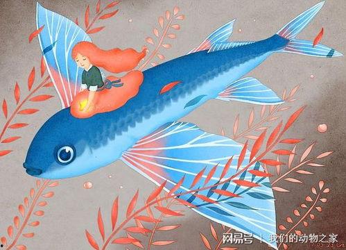 娱乐圈爆料贴会飞的鱼,会飞的鱼背后的惊人真相 第2张 娱乐圈爆料贴会飞的鱼,会飞的鱼背后的惊人真相 第2张