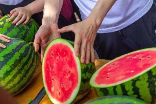 高校吃瓜网站免费入口 第3张 高校吃瓜网站免费入口 第3张